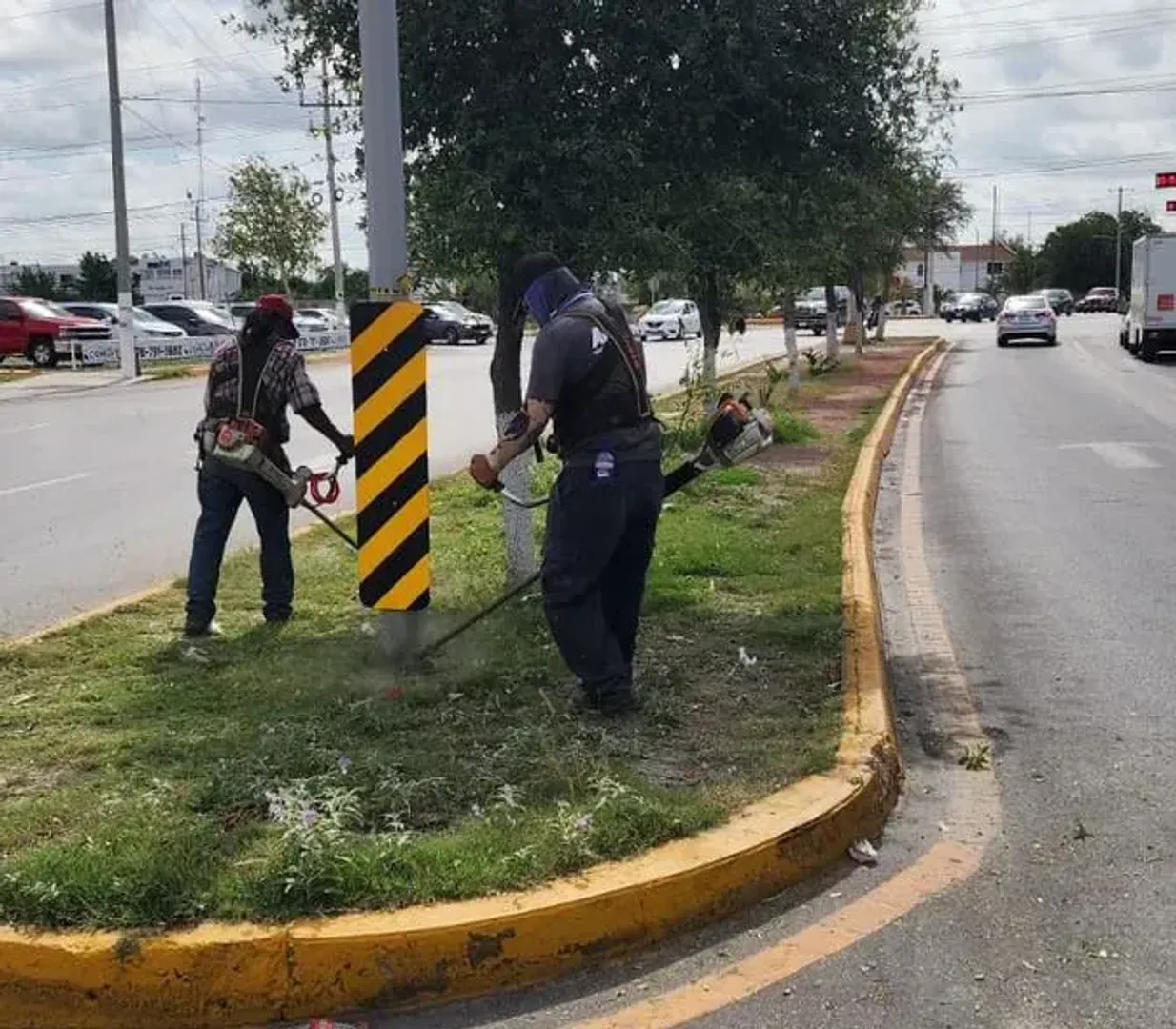 ECOLOGÍA E IMAGEN URBANA MEJORA ENTORNOS CON JORNADAS DE CORTE Y BARRIDO