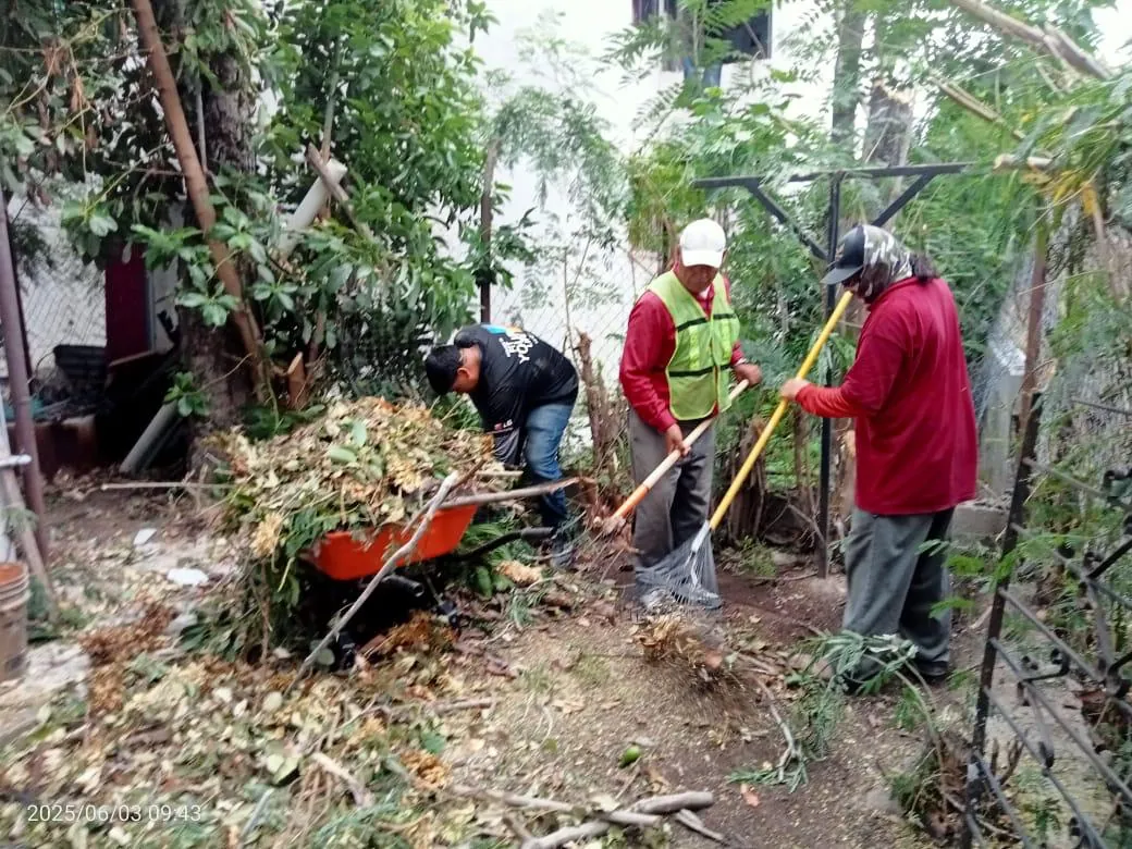 GOBIERNO MUNICIPAL REFUERZA LIMPIEZA URBANA CON RETIRO DE RAMAS Y DESECHOS VEGETALES