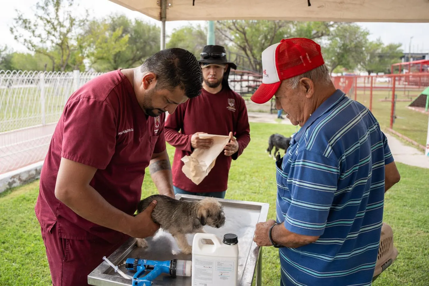 MACROPLAZA 2 RECIBE JORNADA DE BIENESTAR ANIMAL CON SERVICIOS GRATUITOS PARA MASCOTAS