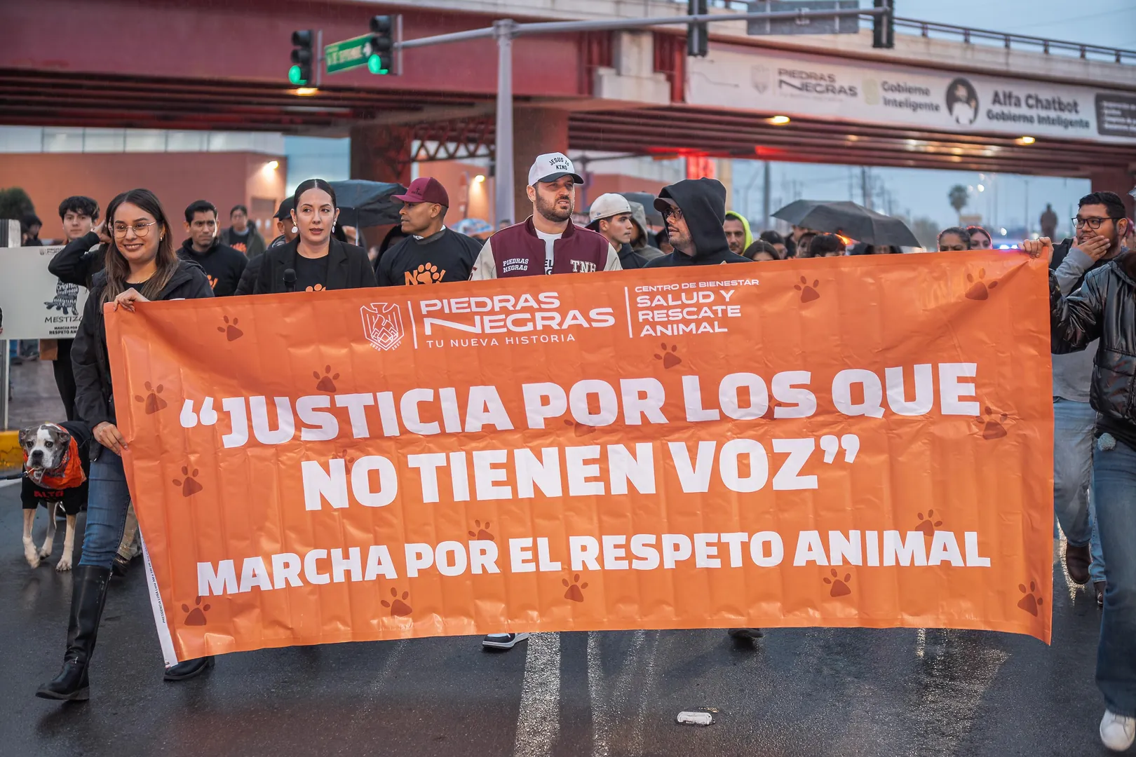 MARCHA POR EL RESPETO ANIMAL