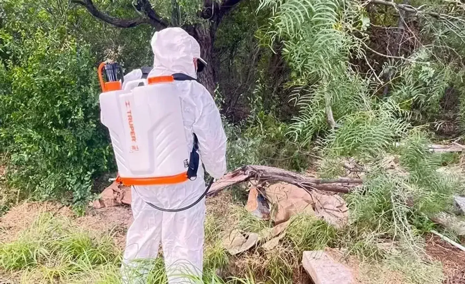REFUERZA ECOLOGÍA ACCIONES PREVENTIVAS CONTRA FAUNA NOCIVA Y MOSQUITOS