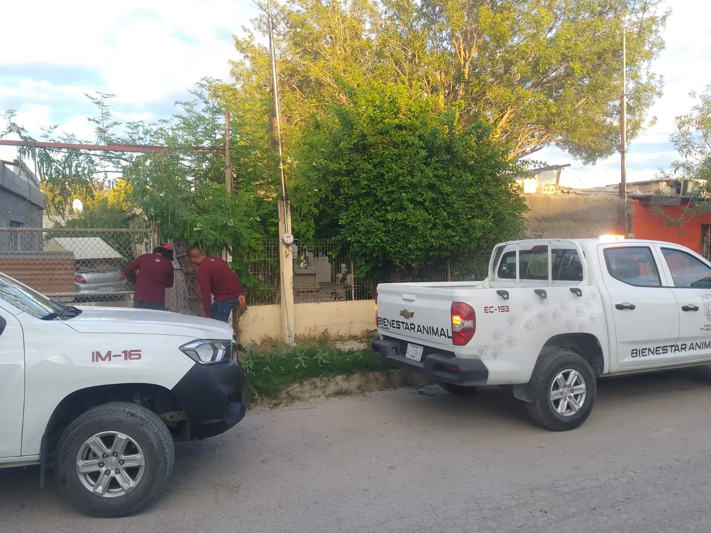 RESCATAN A MASCOTAS ABANDONADAS EN LA COLONIA TIERRA Y ESPERTANZA